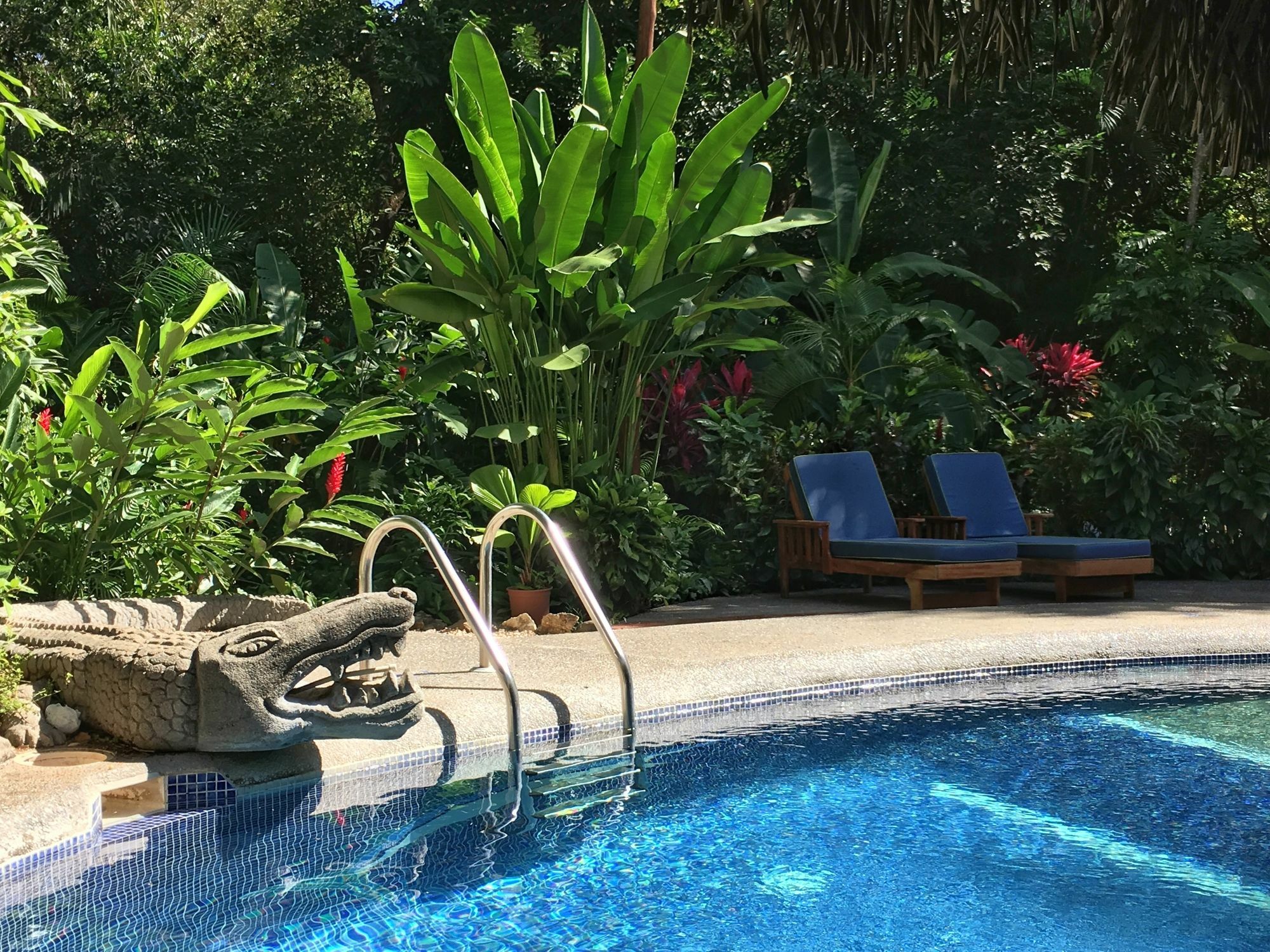 Harbor Reef Hotel Nosara Bagian luar foto